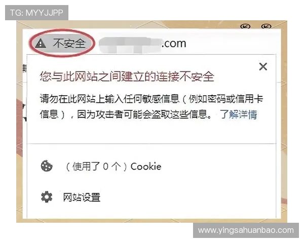 yabo网站登陆遇到问题怎么办，全面解决方案指南