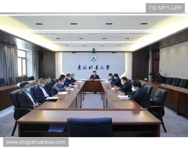 HTH华体会欢迎你，全面解析华体会的最新优惠活动助你轻松赢得大奖