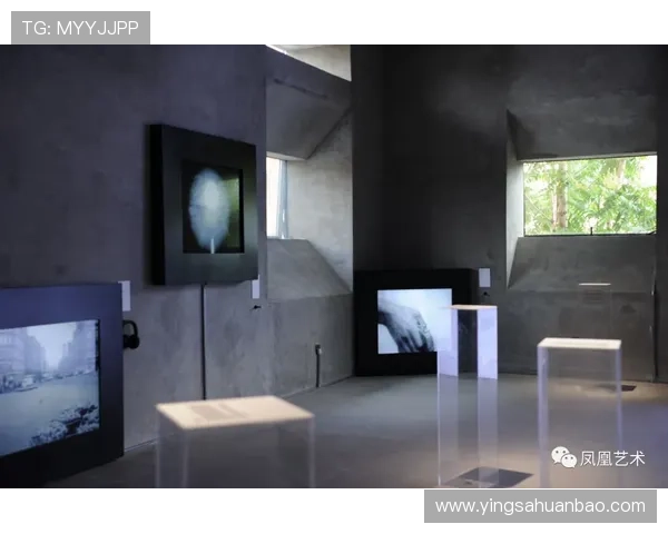 深入了解华体会体育登录入口的赛事直播功能，享受精彩瞬间